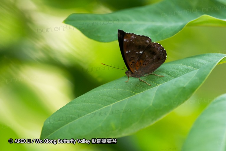 130404_suthep_037.jpg