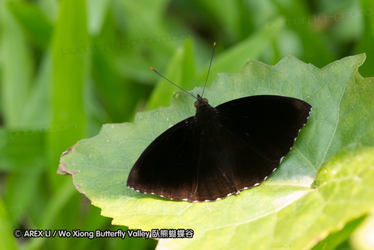 130404_suthep_039.jpg