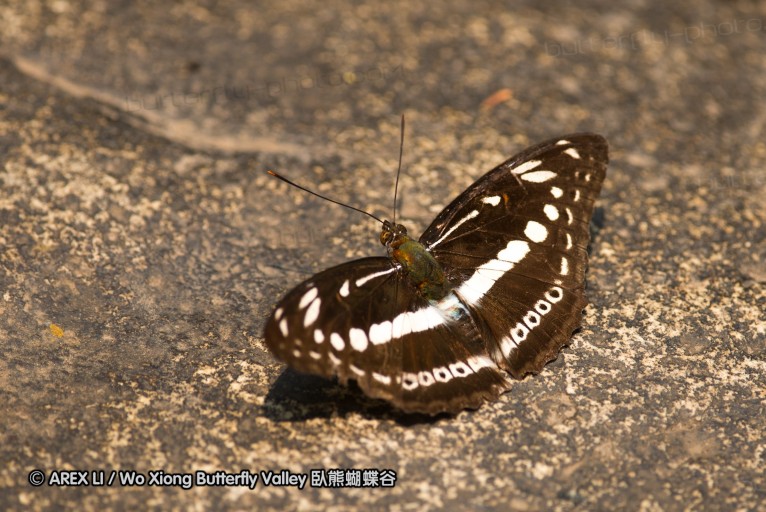 130404_suthep_074.jpg