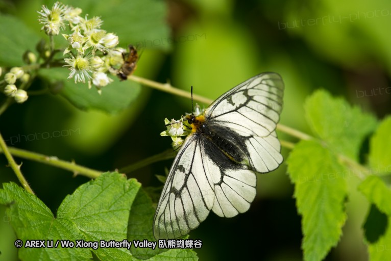130518_honghegu_022.jpg