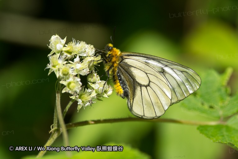 130518_honghegu_023.jpg