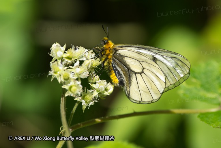 130518_honghegu_024.jpg