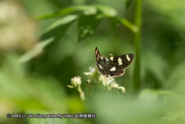 130518_honghegu_027.jpg