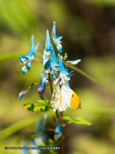 130518_honghegu_032.jpg
