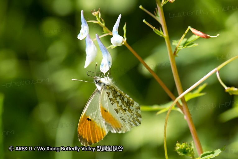 130518_honghegu_035.jpg