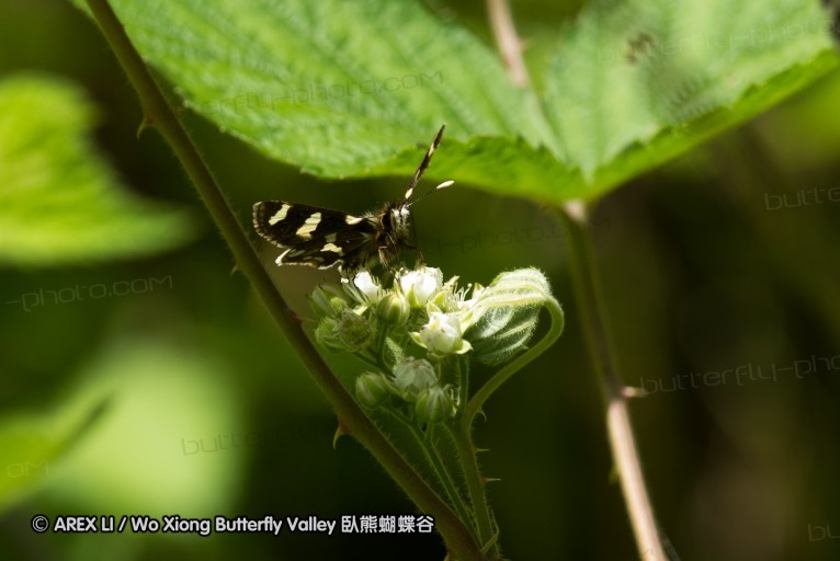 130518_honghegu_036.jpg