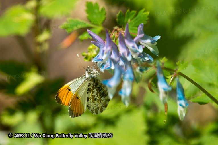 130518_honghegu_038.jpg