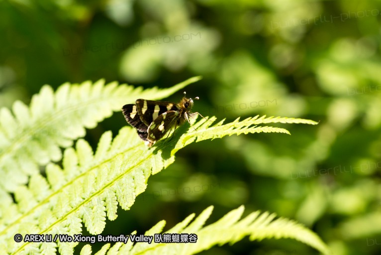 130518_honghegu_039.jpg