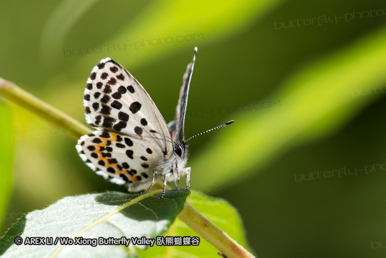 130518_honghegu_052.jpg