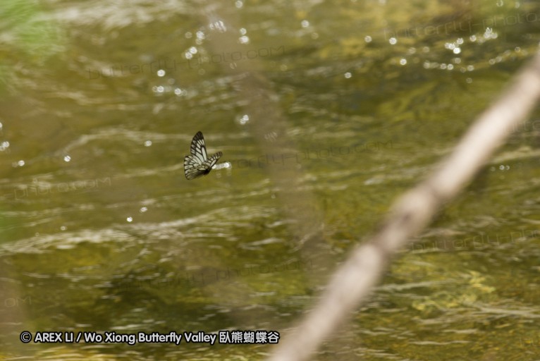 130518_honghegu_110.jpg