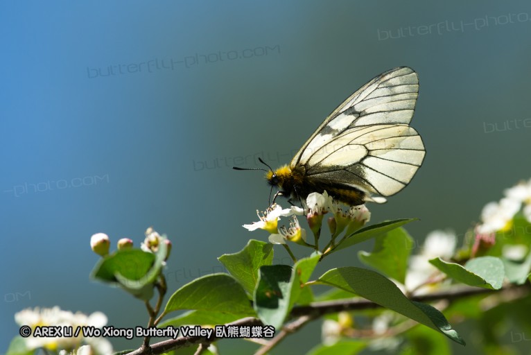 130518_honghegu_114.jpg