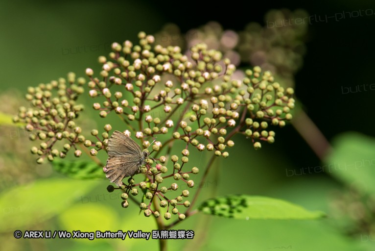 130518_honghegu_122.jpg