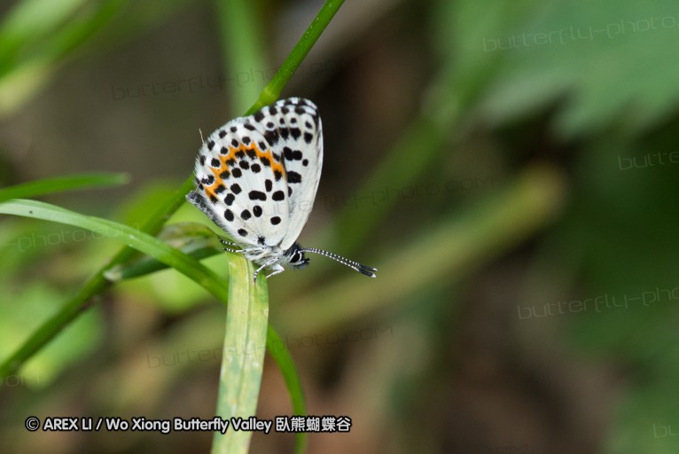 130518_honghegu_137.jpg