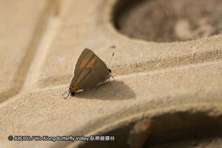 130519_honghegu_08.jpg