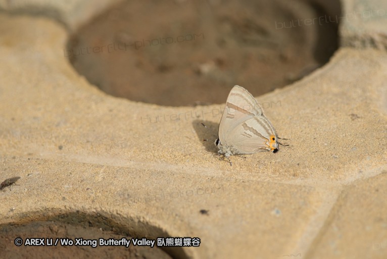 130519_honghegu_09.jpg