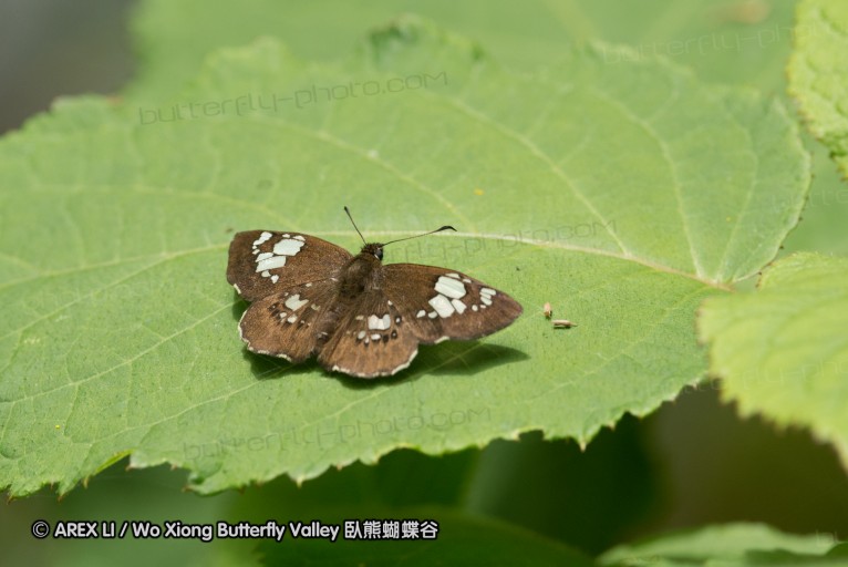 130519_honghegu_23.jpg
