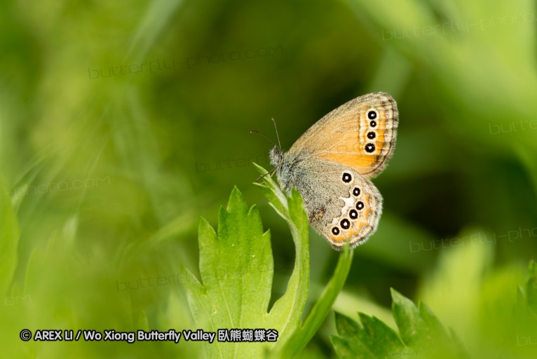 130519_honghegu_32.jpg