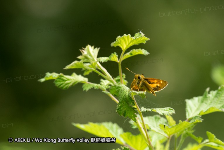 130519_honghegu_39.jpg