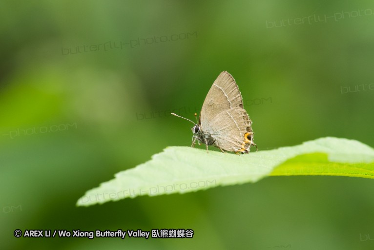 130519_honghegu_41.jpg