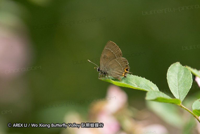 130519_honghegu_44.jpg