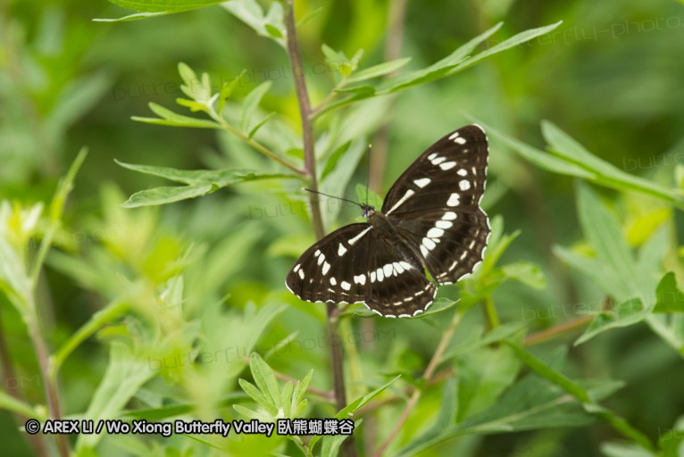 130519_honghegu_53.jpg