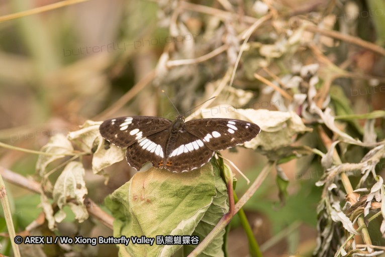 130602_takao_01.jpg