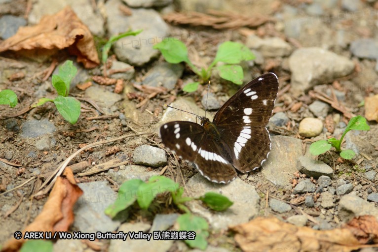 130602_takao_09.jpg