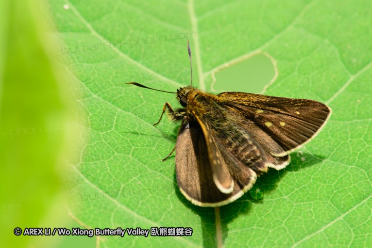 130602_takao_29.jpg