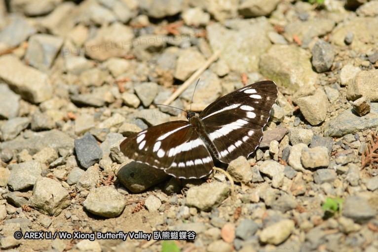 130602_takao_35.jpg