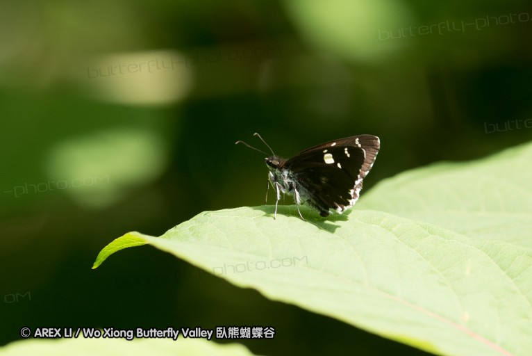 130602_takao_49.jpg