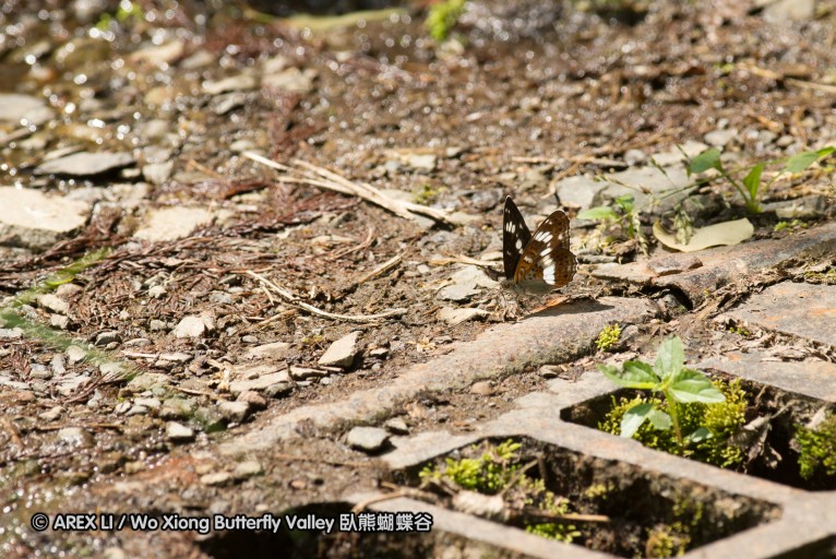 130602_takao_55.jpg
