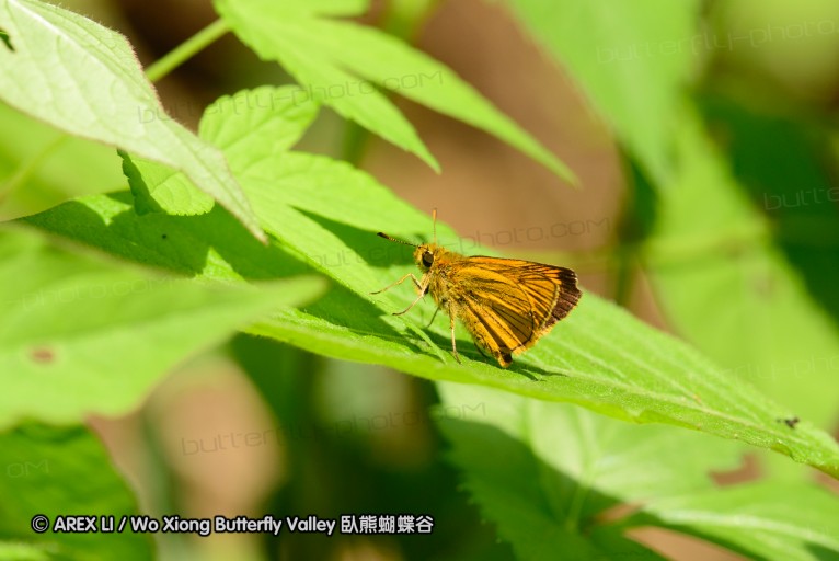 130602_takao_69.jpg