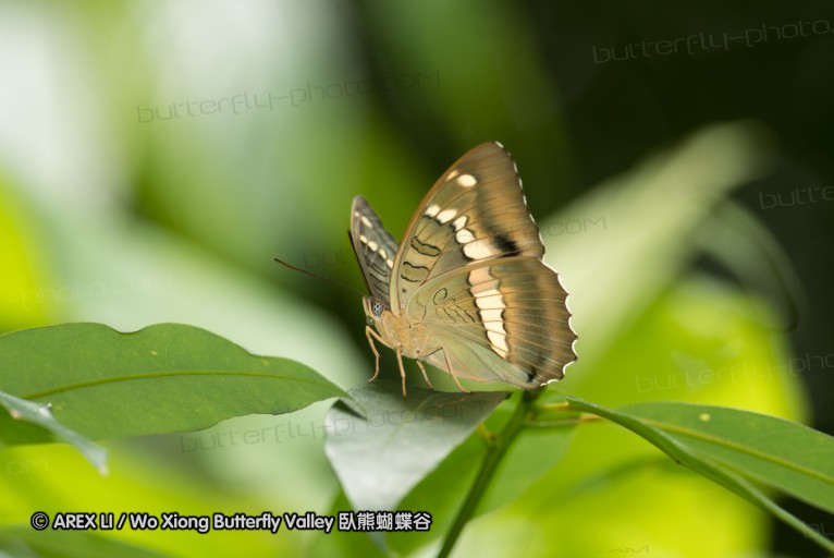 130609_rarashan_050.jpg