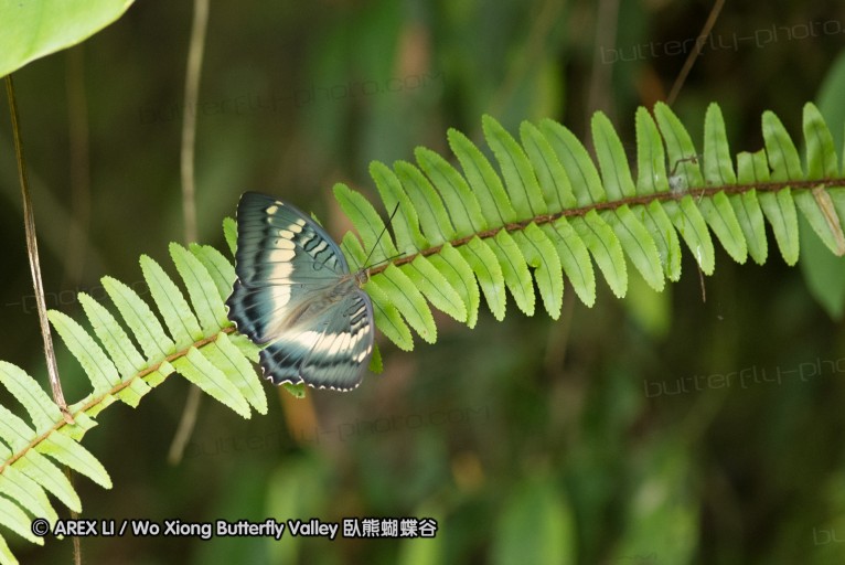130609_rarashan_069.jpg