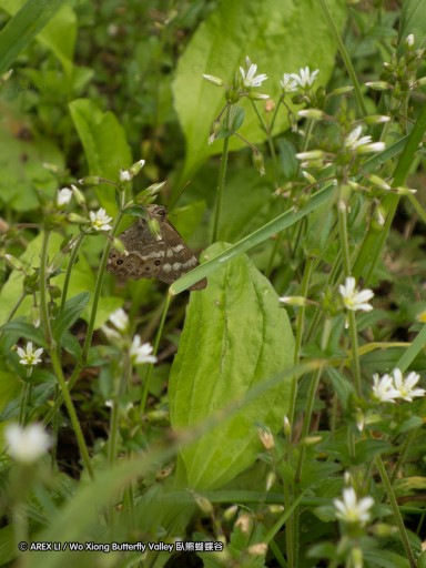 130611_hehunshan_62.jpg