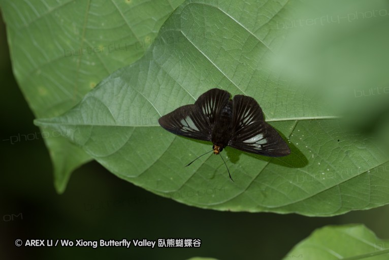 160514_nanling_04.jpg