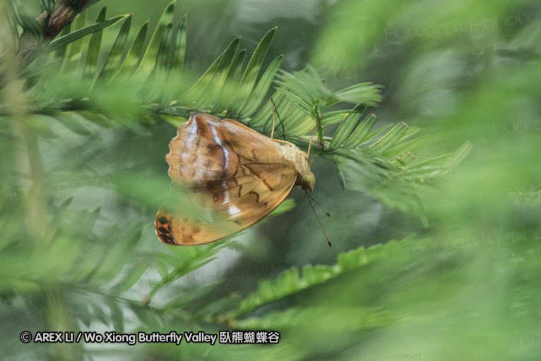 160514_nanling_13.jpg