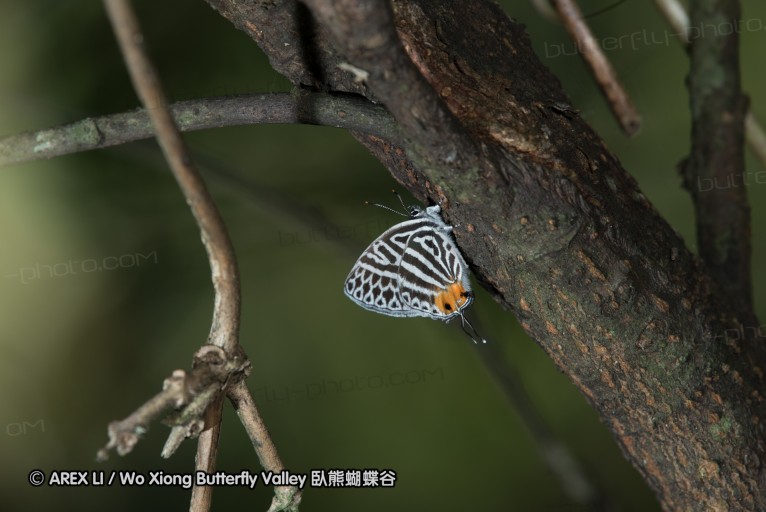 160516_nanling_005.jpg