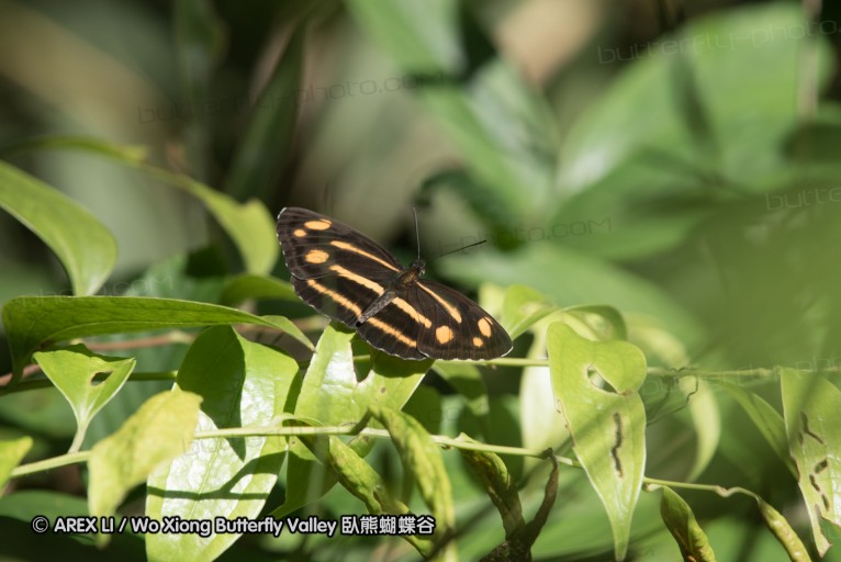 160516_nanling_026.jpg