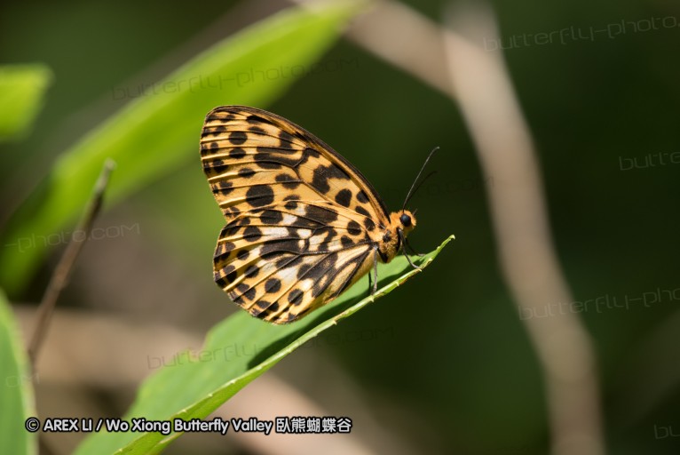 160516_nanling_034.jpg
