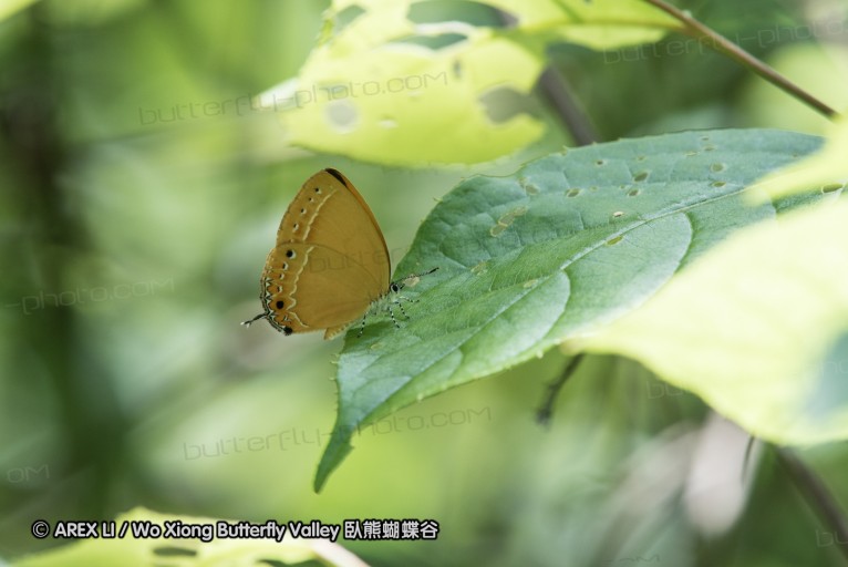 160516_nanling_038.jpg