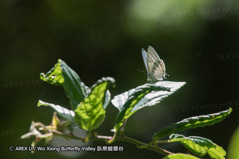 160516_nanling_049.jpg