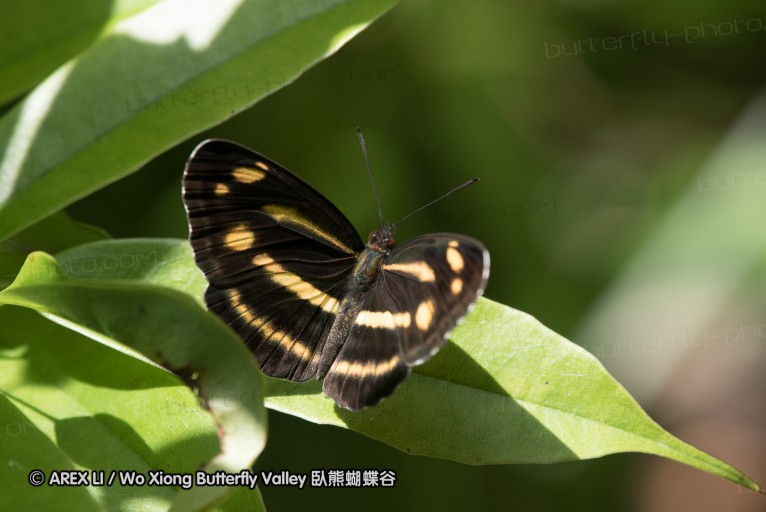 160516_nanling_050.jpg