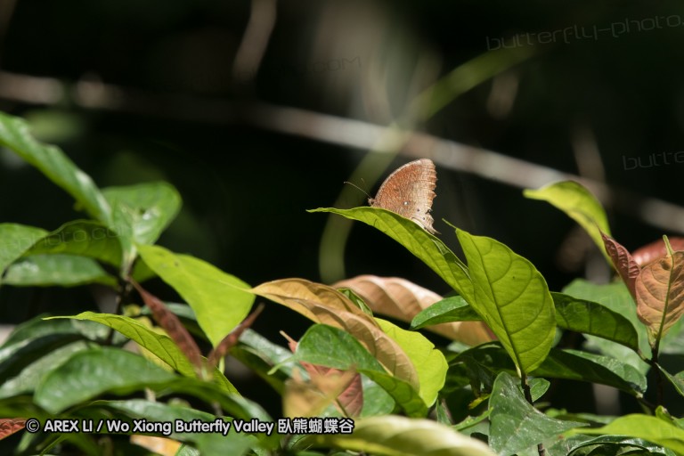 161216_peacevillage_60.jpg