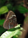 091027_alinahui_185.jpg