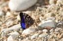 091027_alinahui_236.jpg