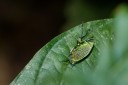 091031_alinahui_079.jpg