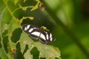 091101_alinahui_079.jpg