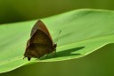 110509_phuket_004.jpg