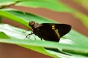 110509_phuket_023.jpg